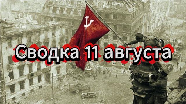 Сводка 11 августа. Нацистское быдло