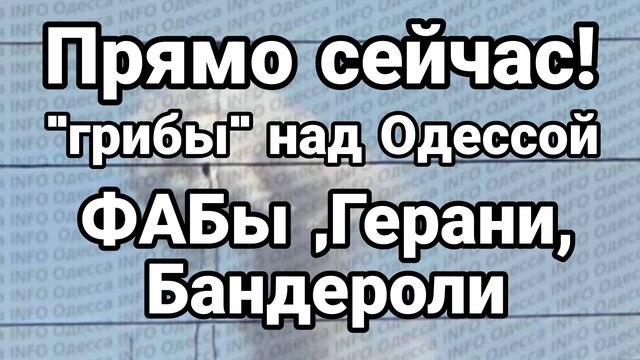 ПРЯМО СЕЙЧАС ! "ГРИБЫ" НАД ОДЕССОЙ ФАБы Герани Бандероли