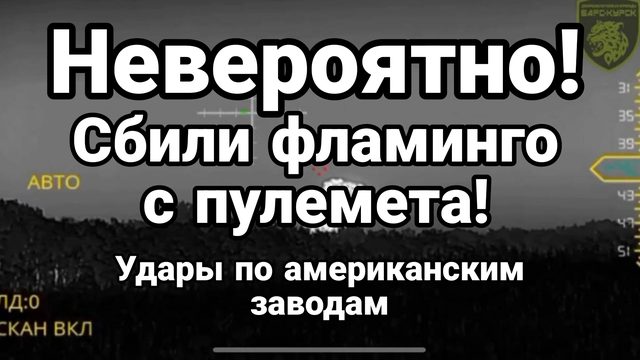 НЕВЕРОЯТНО! ФЛАМИНГО СБИЛИ С ПУЛЕМЕТА УДАРЫ ПО АМЕРИКАНСКИМ ЗАВОДАМ