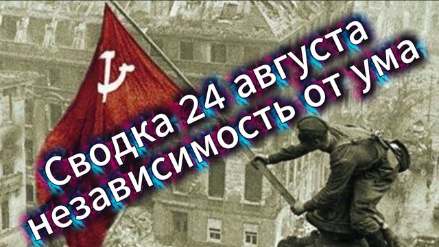 Сводка 24 августа и независимость от ума