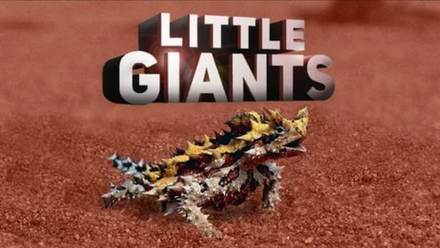 Большие маленькие гиганты (2026) / Big Little Giants