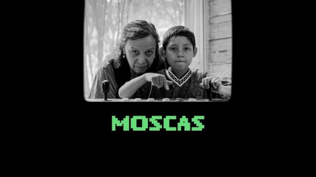 Мухи (2026) / Moscas / Flies