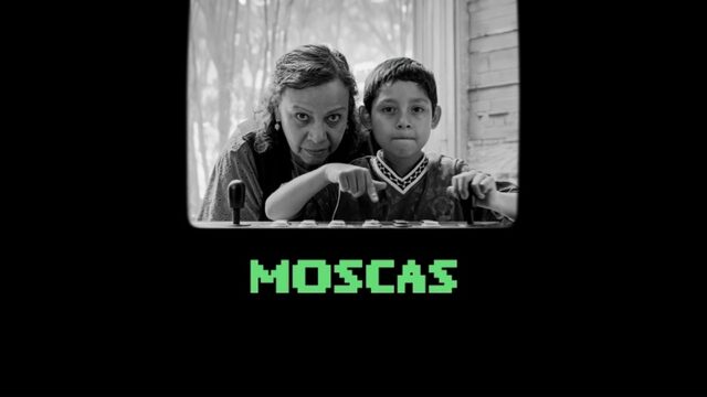 Мухи (2026) / Moscas / Flies