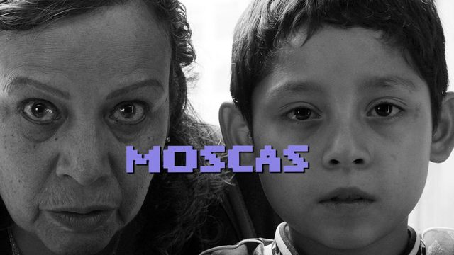 Мухи | Moscas | Flies (2026)