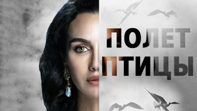 Полёт птицы - 3 сезон, 7 серия (сериал, 2024) / Kus Ucusu