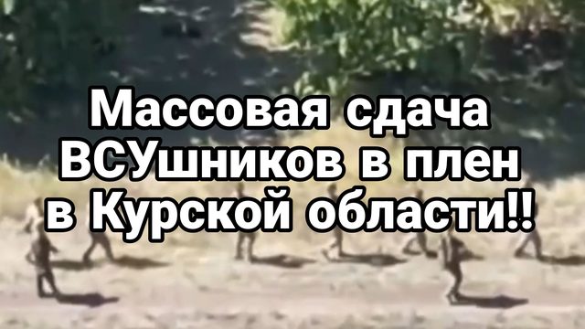 17-08-2024 МАССОВАЯ СДАЧА В ПЛЕН ВСУшников в Курской области Грязные бомбы Зеленского