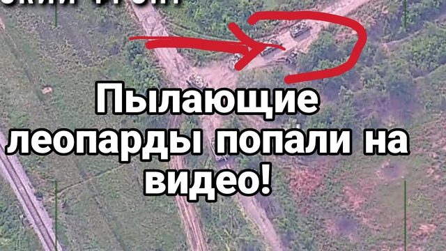 П0ДБИТЫЕ ЛЕ0ПАРДЫ! П0ПАЛИ НА ВИДЕ0!