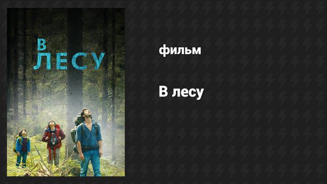 В лесу (фильм, 2016)