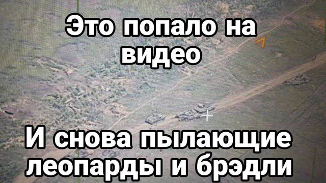 И СН0ВА ПЫЛАЮЩИЕ ЛЕ0ПАРДЫ И БРЭДЛИ Работино