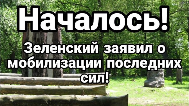 НАЧАЛ0СЬ! МАЙДАН 3 И М0БИЛИЗАЦИЯ П0СЛЕДНИХ СИЛ