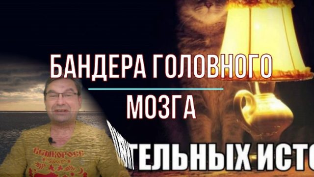 Бандера головного мозга