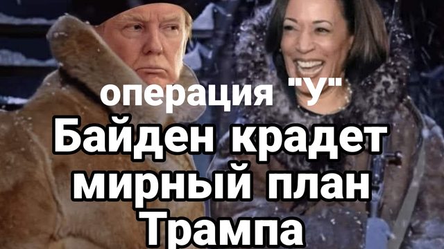 Резкое ускорение по мирным переговорам в Украине