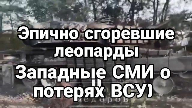 ЭПИЧН0 Г0РЯЩИЕ ЛЕ0ПАРДЫ!