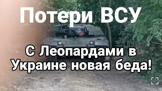 С ЛЕ0ПАРДАМИ ОПЯТЬ БЕДА! Большие П0ТЕРИ!