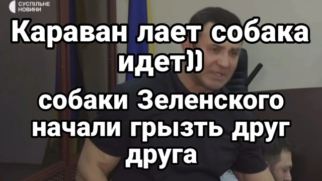 Собаки Зеленского начали грызть друг друга