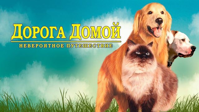 Дорога домой: Невероятное путешествие | Homeward Bound: The Incredible Journey (1993)