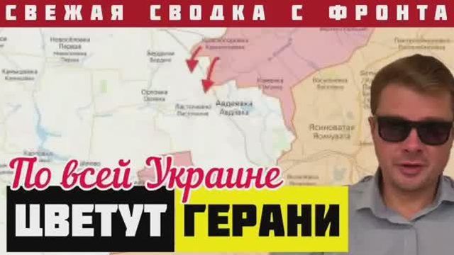 Армия России вошла в Синьковку и Хромово. Работают ФАБ-1500. Цветение гераней по всей Украине