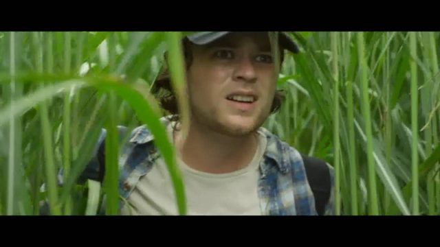 Высокая зелёная трава / В высокой траве (2019)