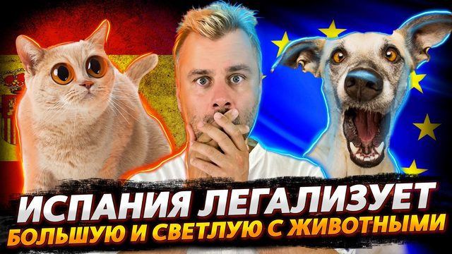 ИСПАНИЯ ЛЕГАЛИЗУЕТ БОЛЬШУЮ И СВЕТЛУЮ С ЖИВОТНЫМИ