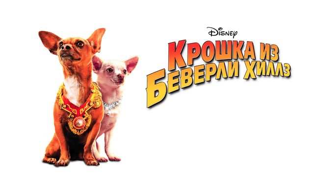Крошка из Беверли-Хиллз (фильм, 2008)
