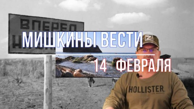 Мишкины вести 14 февраля