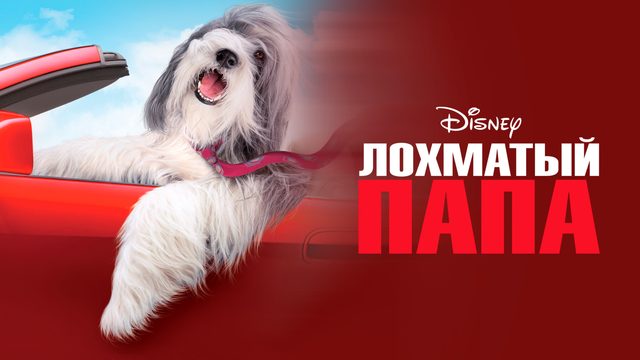 Лохматый папа (фильм, 2006)