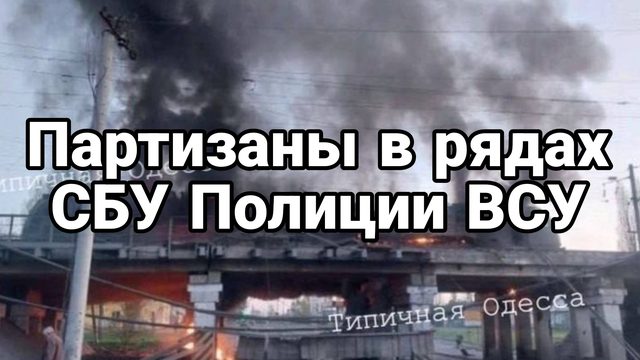 Партизаны в рядах СБУ ВСУ полиции Глубокий инсайд