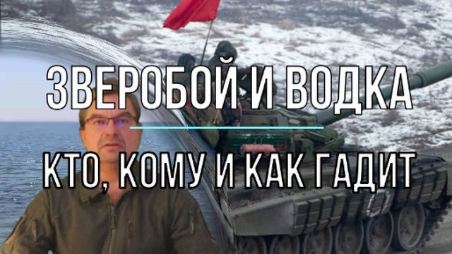 Зверобой и водка во время СВО