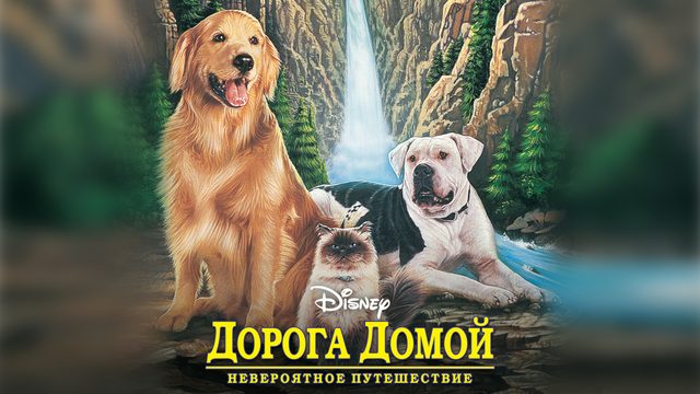 Дорога домой: Невероятное путешествие (фильм, 1993)