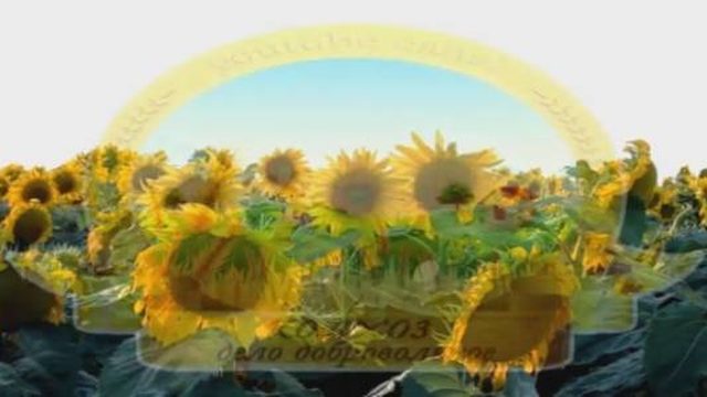 Тянет братушек к интеллектуальности, как кошек к огню..mp4