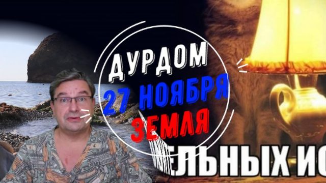 Дурдом 27 ноября