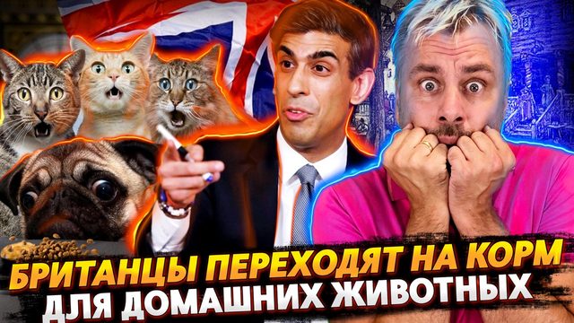 БРИТАНЦЫ ПЕРЕХОДЯТ НА КОРМ ДЛЯ ЖИВОТНЫХ | КАК ЕВРОПА БЕЗ НЕФТИ ОСТАЛАСЬ