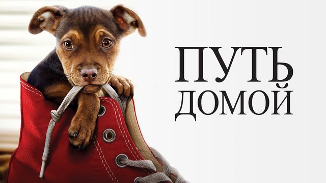 Путь домой (фильм, 2019)
