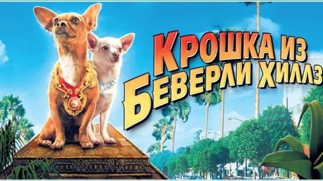 Крошка из Беверли-Хиллз | Beverly Hills Chihuahua (2008)