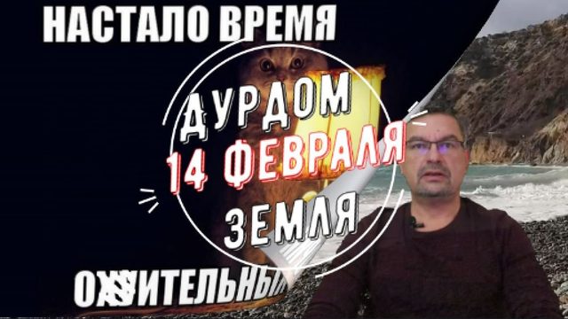 Дурдом Земля 14 февраля